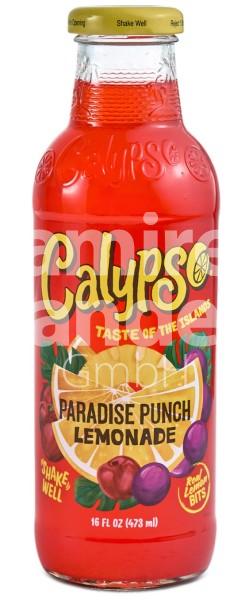 Calypso Paradise Punch Lemonade 473 ml (MHD 31 JAN 2025)