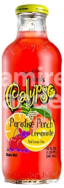 Calypso Paradise Punch Lemonade 473 ml
