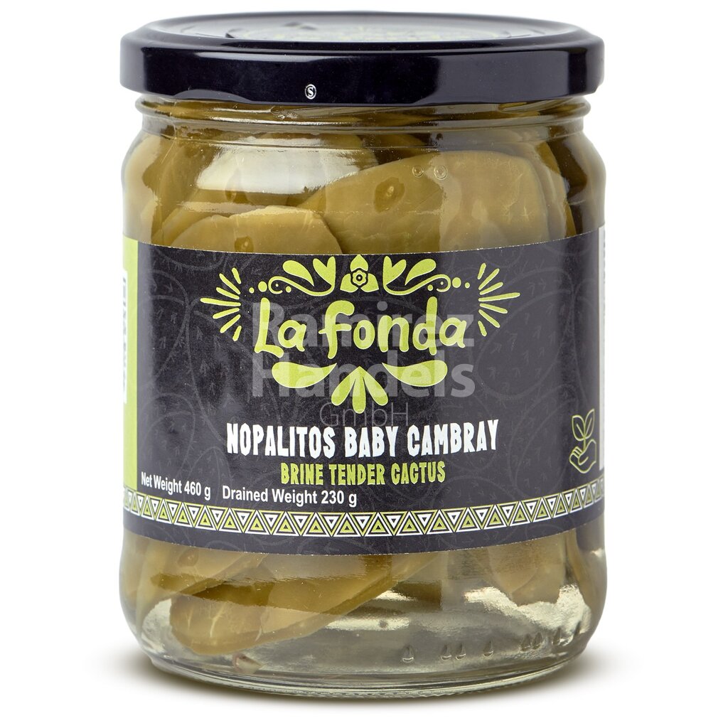 [MX2316] Ganze Kaktusblätter Nopales LA FONDA 460 g
